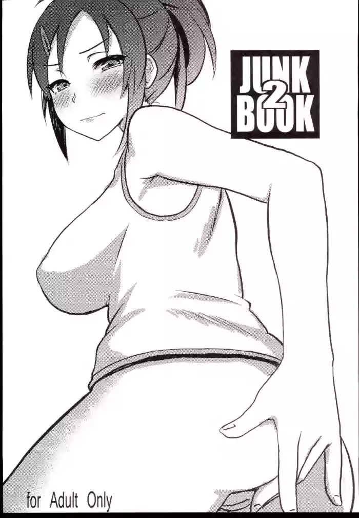 JUNK BOOK 2