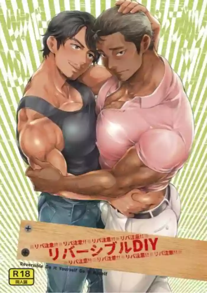 Reversible DIY gallery cover from original
