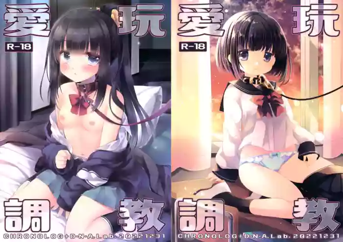 Aigan Choukyou gallery cover from original