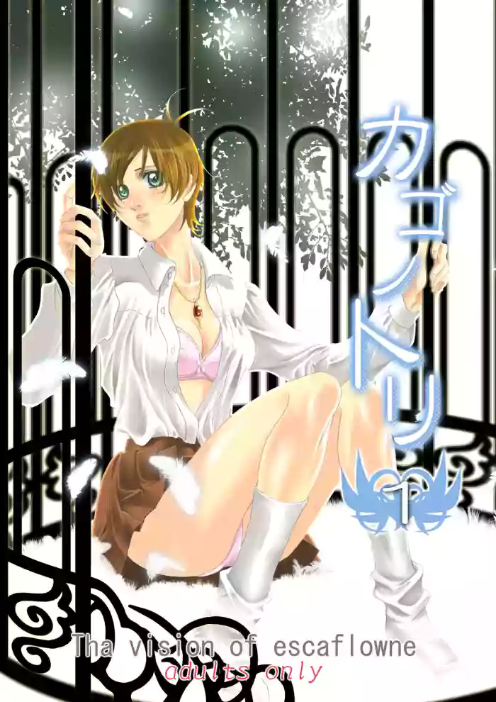 Bird in a Box 1 gallery cover featuring van fanel from the vision of escaflowne