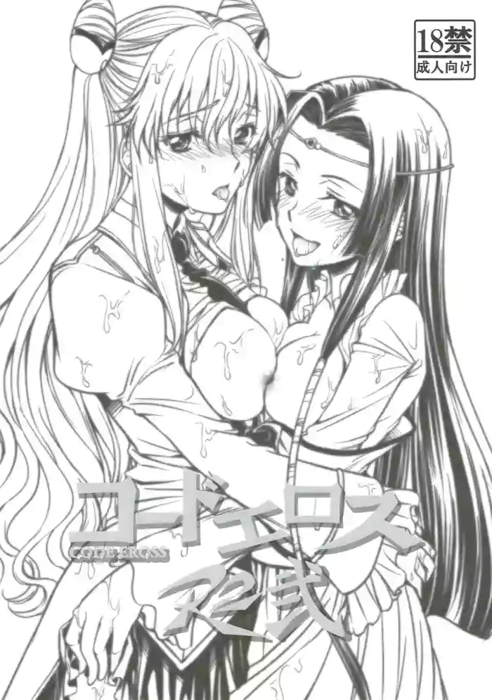 CODE EROSS R2 Ni gallery cover featuring kallen stadtfeld from code geass