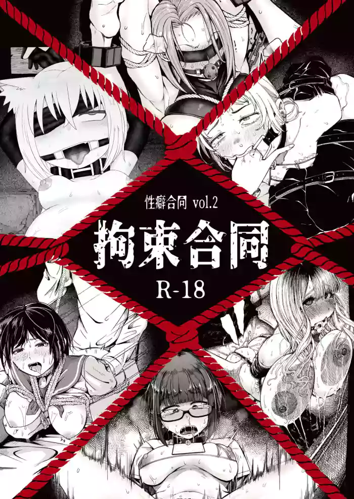 Seiheki Goudou vol.02