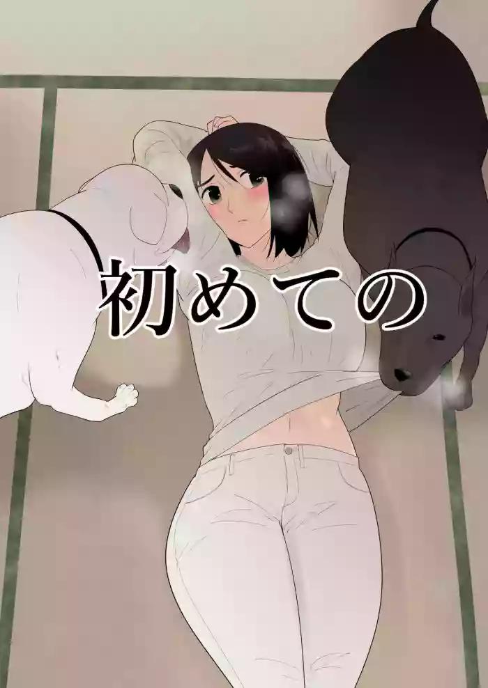 初めての gallery cover