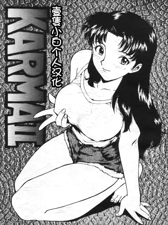 Karma II gallery cover featuring misato katsuragi from neon genesis evangelion