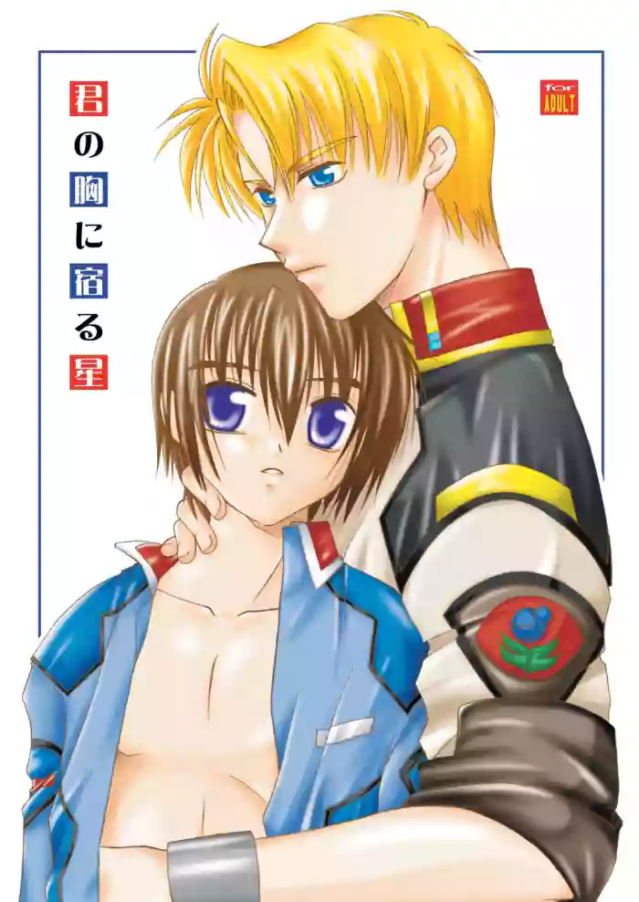 君の胸に宿る星 gallery cover featuring kira yamato from gundam seed