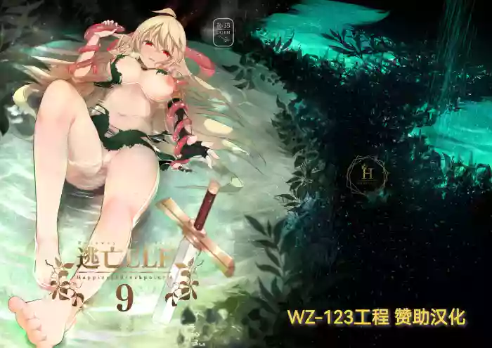 Toubou Elf 9