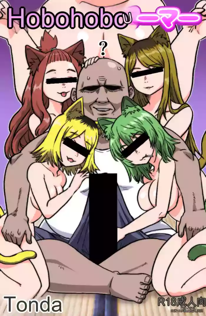 Nekoneko Dreamer