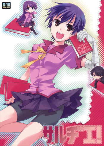 Sarudie! gallery cover featuring koyomi araragi from bakemonogatari