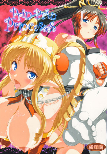 PRIN-PRIN PRINCESSES gallery cover featuring neige hausen from super robot wars