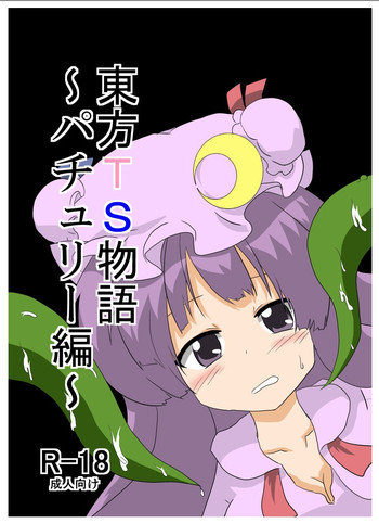 Touhou TS Monogatari gallery cover featuring patchouli knowledge from touhou project